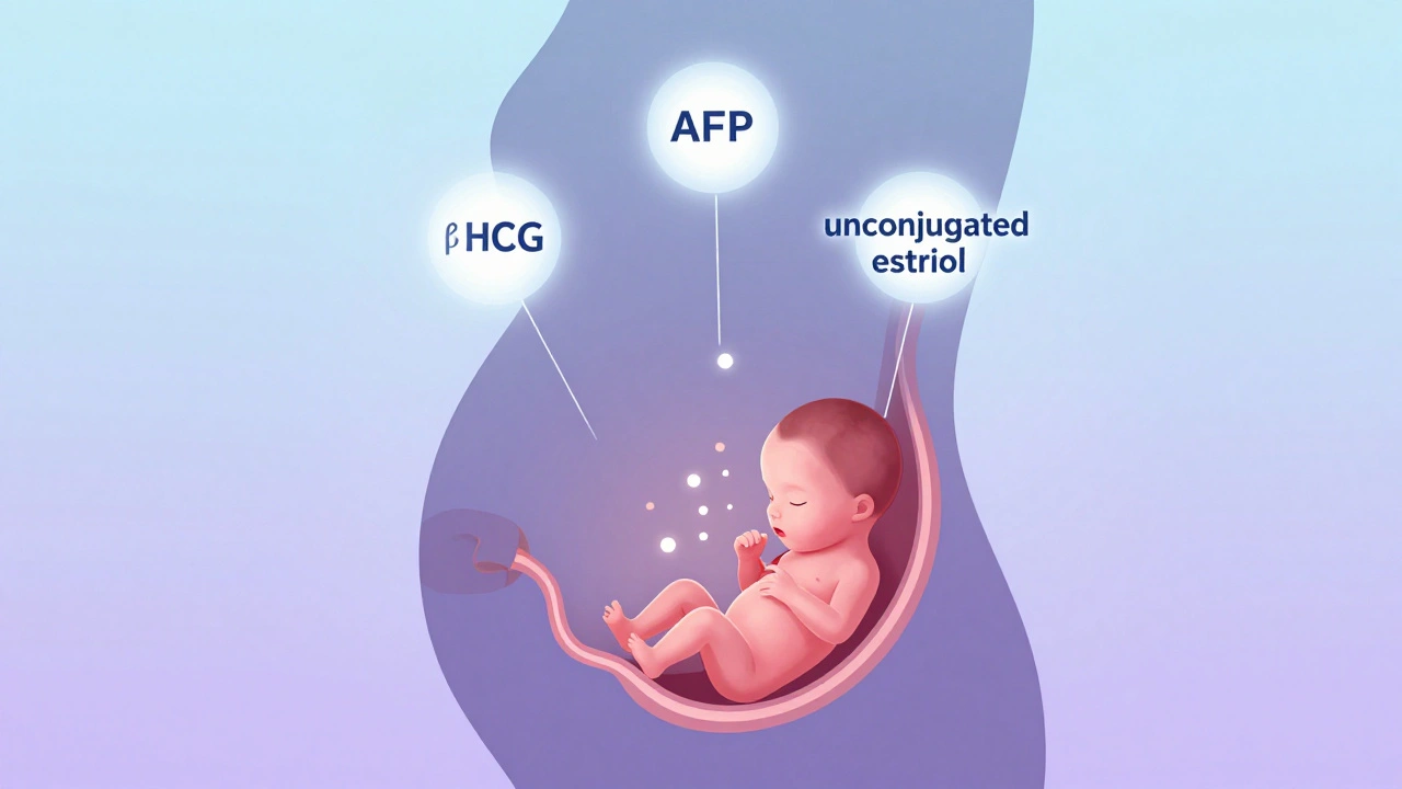 Ilustrace tří biochemických markerů spojených s plodem.