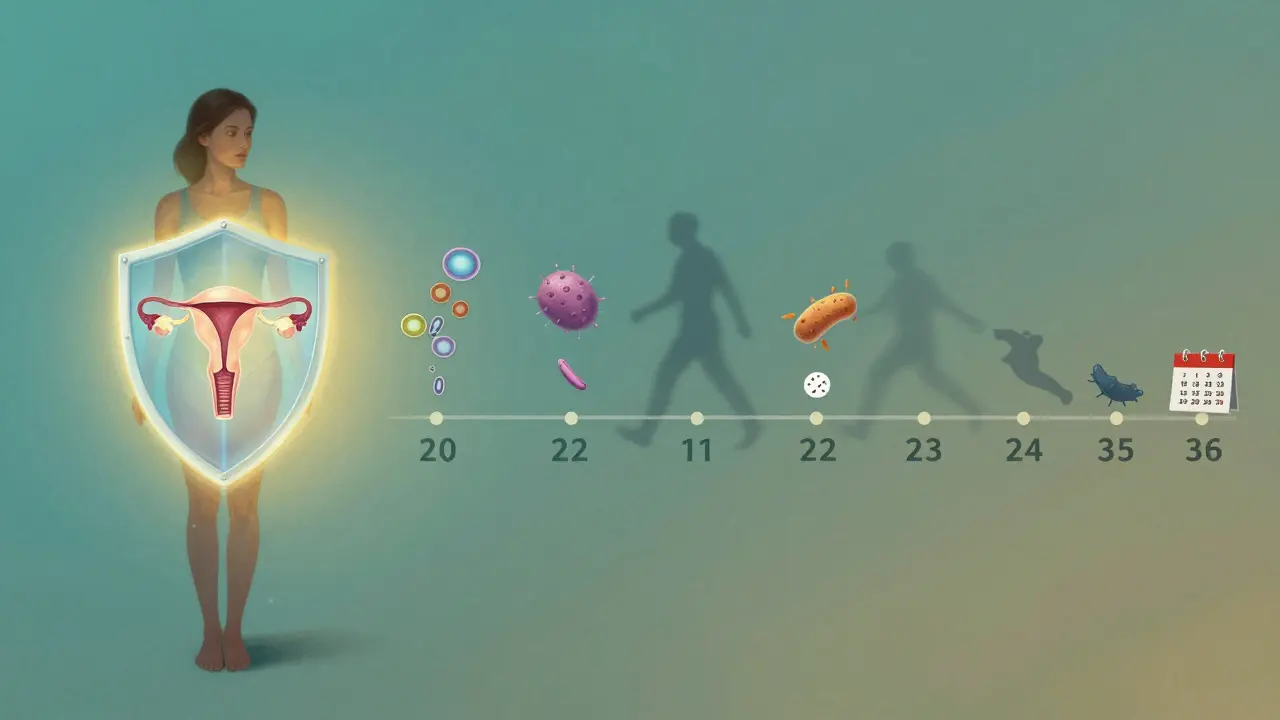 Symbolická představa prevence rakoviny děložního čípku včasným screeningu.